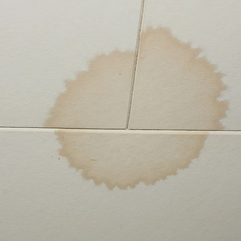 Everbuild Stain Block Spray Paint Stainblock White STAINSTP Box of 12 Hot Sale ???? Everbuild Stain Block Spray Paint Stainblock White STAINSTP Box Of 12 ???? -Everbuild Shop unnamed file 1046