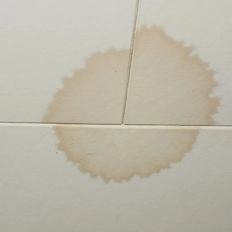 Hot Sale ๐ Everbuild Stain Block Spray Paint Stainblock White STAINSTP Box Of 12 ๐ - Image 5