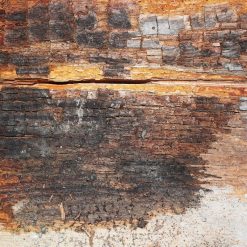 Outlet ???? Everbuild Lumberjack Masonry Dry Rot Treatment 5 Litre Box Of 4 ❤️ 7 Outlet ???? Everbuild Lumberjack Masonry Dry Rot Treatment 5 Litre Box Of 4 ❤️ -Everbuild Shop unnamed file 1777