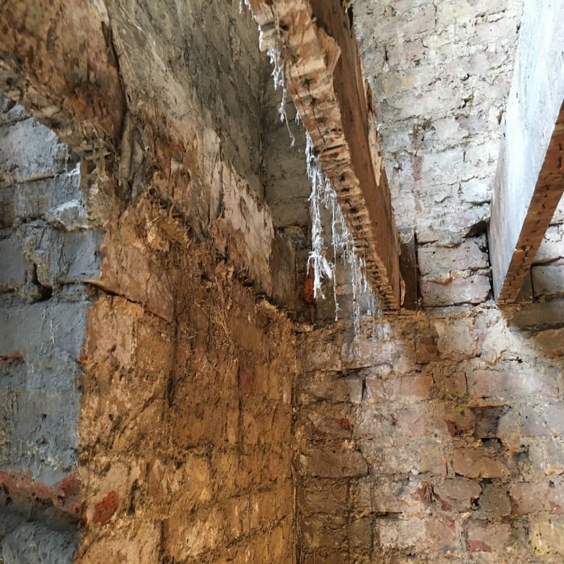 Everbuild Lumberjack Masonry Dry Rot Treatment 5 Litre Box of 4 Outlet ???? Everbuild Lumberjack Masonry Dry Rot Treatment 5 Litre Box Of 4 ❤️ -Everbuild Shop unnamed file 1779