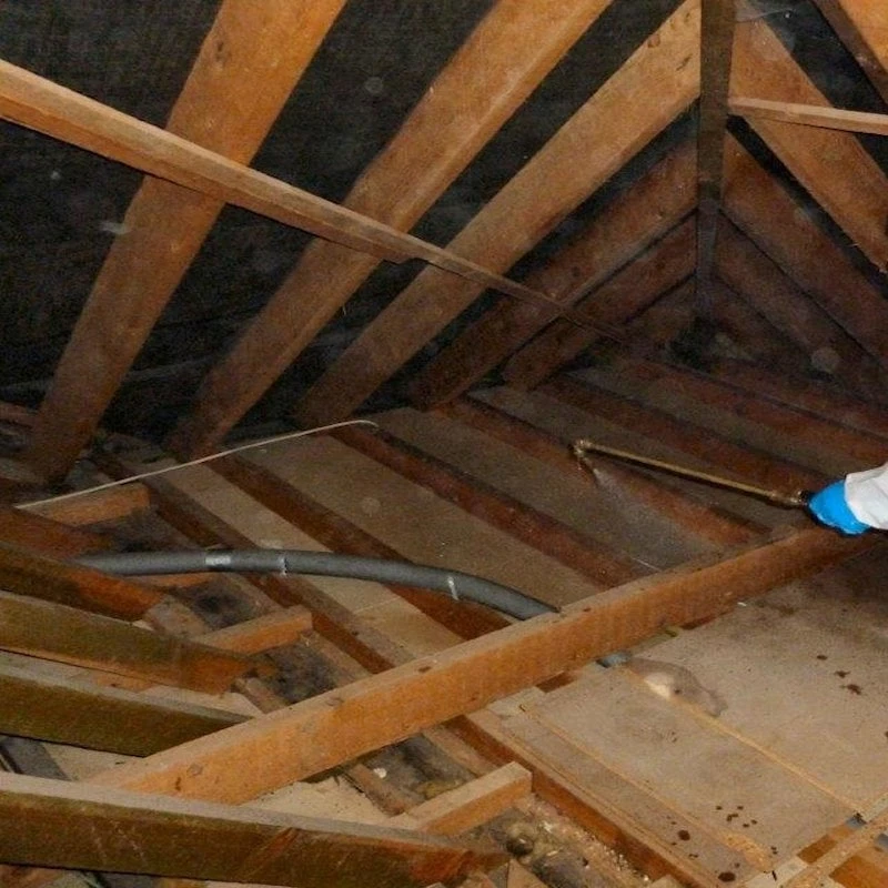 Best deal 🌟 Everbuild Lumberjack Wood Worm Killer 5 Litre LJWORM05 Box Of 4 😍 - Image 5