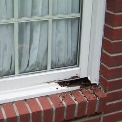 Budget ???? Everbuild WOODHARD2 Wet Rot Wood Hardener Treatment 250ml Tin ???? -Everbuild Shop unnamed file 354