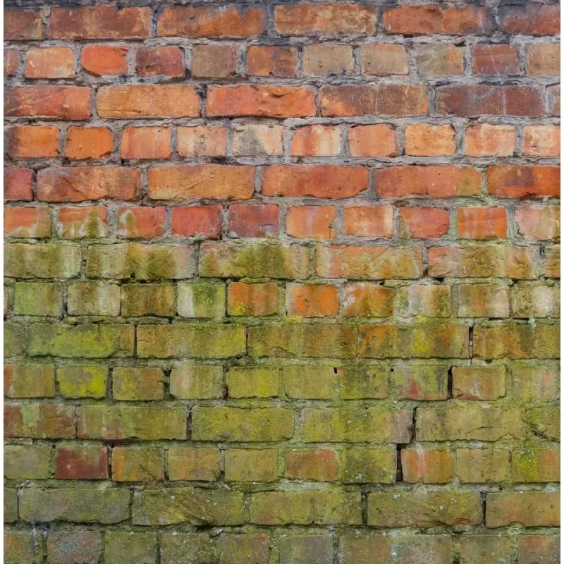 New ๐ Everbuild 404 Fungicidal Wash Moss Mould Remover 5 Litre FUN5 โญ - Image 4