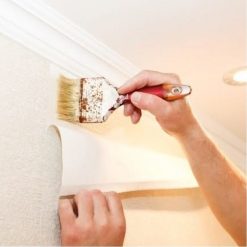 Discount ???? Everbuild Overlap Wallpaper Border Adhesive 250g Tube Box Of 12 ❤️ -Everbuild Shop unnamed file 508