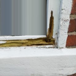 Cheap ???? Everbuild 2 Part Coloured Wood Filler 1.4kg 7 Colours ✨ -Everbuild Shop unnamed file 59