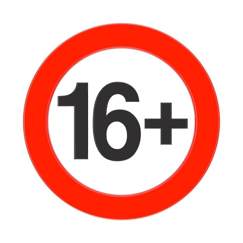 Budget ๐งจ 151 Spray Paint Grey Gloss 250ml TAR010A ๐ - Image 2